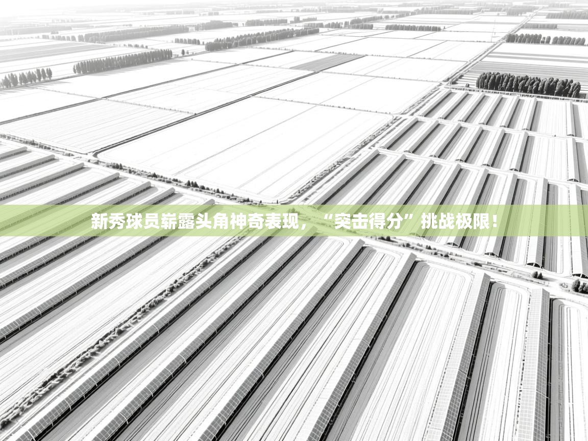 开云中国kaiyun·体育官方网站-新秀球员崭露头角神奇表现,“突击得分”挑战极限! 第4张