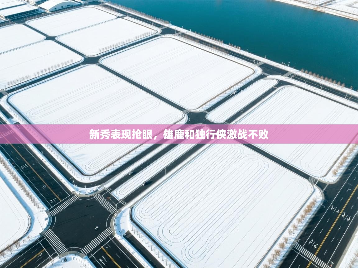 开云体育网络异常修复-新秀表现抢眼，雄鹿和独行侠激战不败